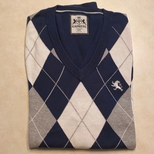 Express long sleeve vneck sweater